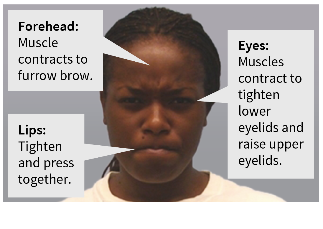 Portrait of a woman. Muscles in her forehead contact to furrow her eyebrows. Her lower eyelids are tight and the upper lids are raised. Her lips are tightened and pressed together.