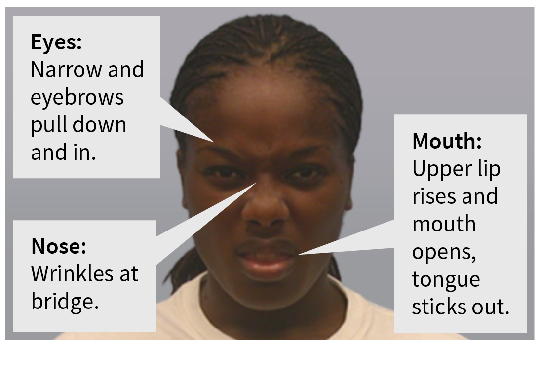 Portrait of a woman. Her eyes are narrow and eyebrows are pulled down and in. Her upper lip rises while her mouth is open with tongue sticking out. Her nose wrinkles at the bridge